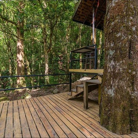 Unicorn Lodge: Direct Riverfront : Unique Experience 圣赫拉多德多塔 外观 照片
