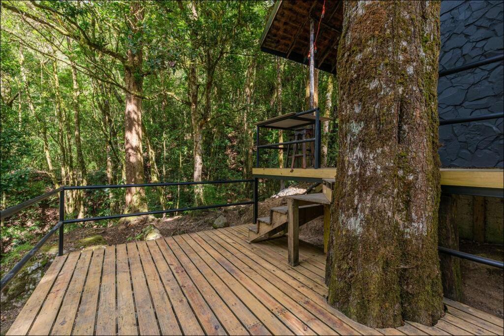 Unicorn Lodge: Direct Riverfront : Unique Experience 圣赫拉多德多塔 外观 照片