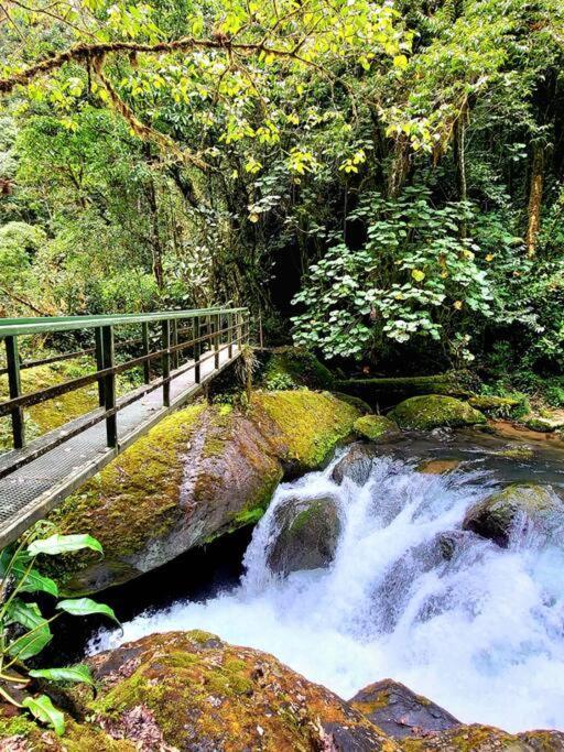 Unicorn Lodge: Direct Riverfront : Unique Experience 圣赫拉多德多塔 外观 照片