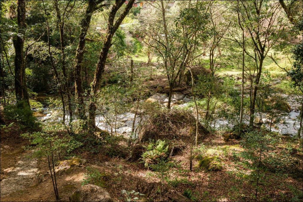 Unicorn Lodge: Direct Riverfront : Unique Experience 圣赫拉多德多塔 外观 照片