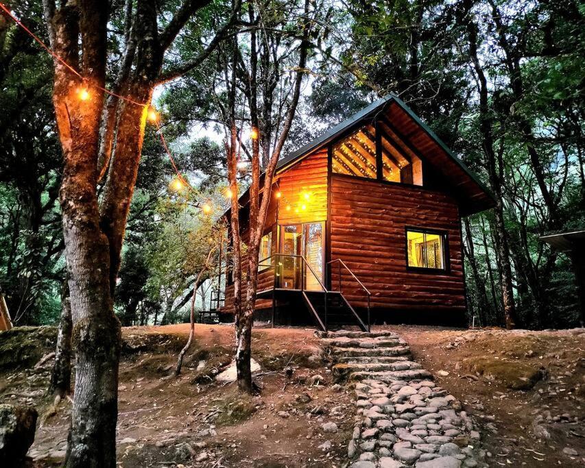 Unicorn Lodge: Direct Riverfront : Unique Experience 圣赫拉多德多塔 外观 照片