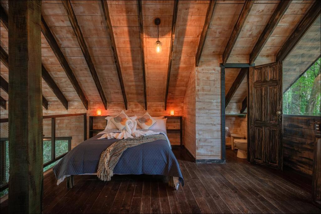 Unicorn Lodge: Direct Riverfront : Unique Experience 圣赫拉多德多塔 外观 照片