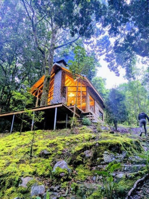 Unicorn Lodge: Direct Riverfront : Unique Experience 圣赫拉多德多塔 外观 照片