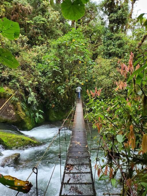 Unicorn Lodge: Direct Riverfront : Unique Experience 圣赫拉多德多塔 外观 照片