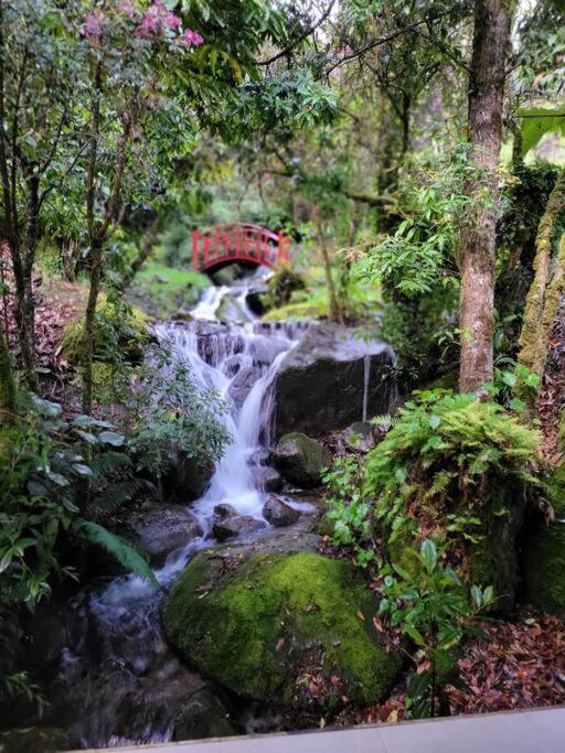Unicorn Lodge: Direct Riverfront : Unique Experience 圣赫拉多德多塔 外观 照片