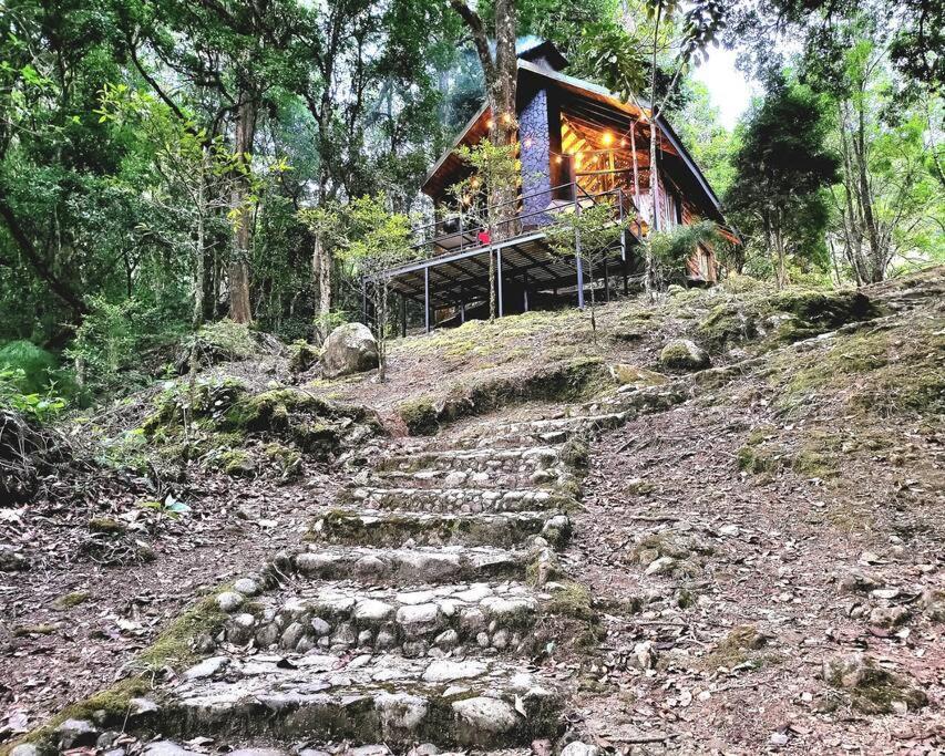 Unicorn Lodge: Direct Riverfront : Unique Experience 圣赫拉多德多塔 外观 照片