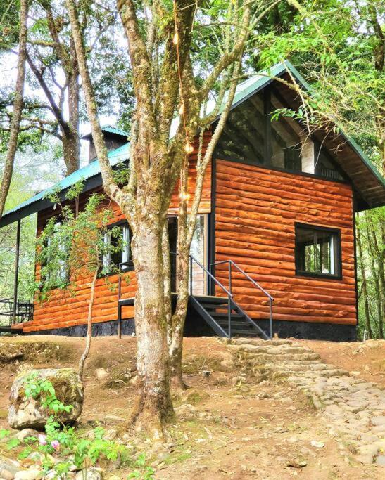 Unicorn Lodge: Direct Riverfront : Unique Experience 圣赫拉多德多塔 外观 照片