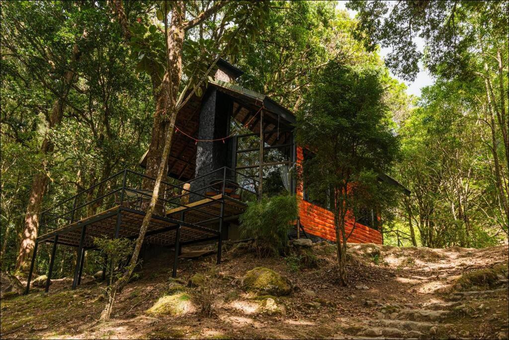 Unicorn Lodge: Direct Riverfront : Unique Experience 圣赫拉多德多塔 外观 照片